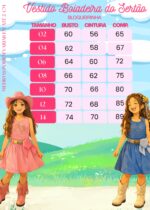 Vestido Blogueirinha Boiadeira do Sertão Jeans - Imagem 9